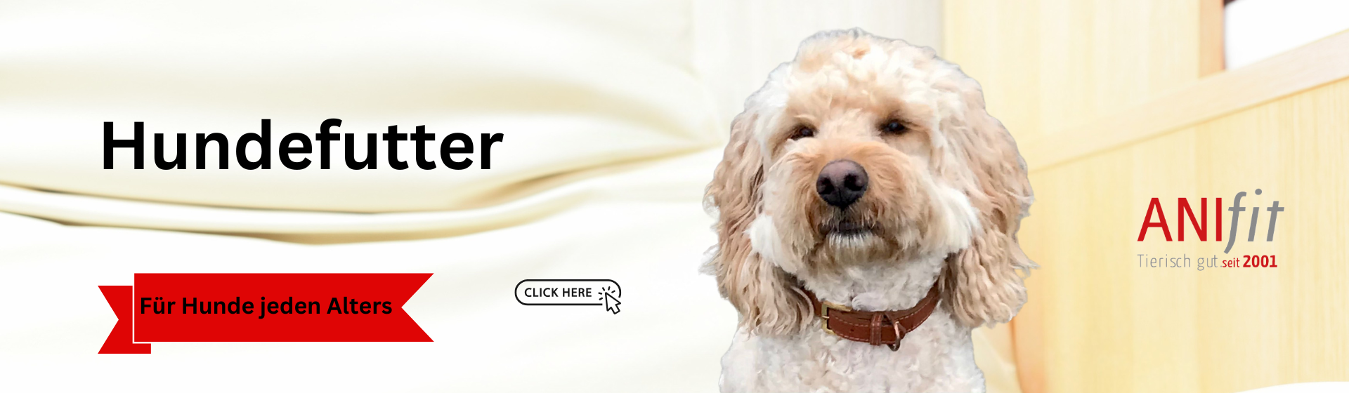 Hundefutter
