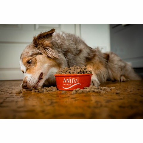 Hund Snacks Hirsch-Snack 170g 1 Packung -4- Anifit